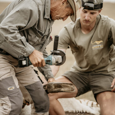 Cape mountain Zebra-19