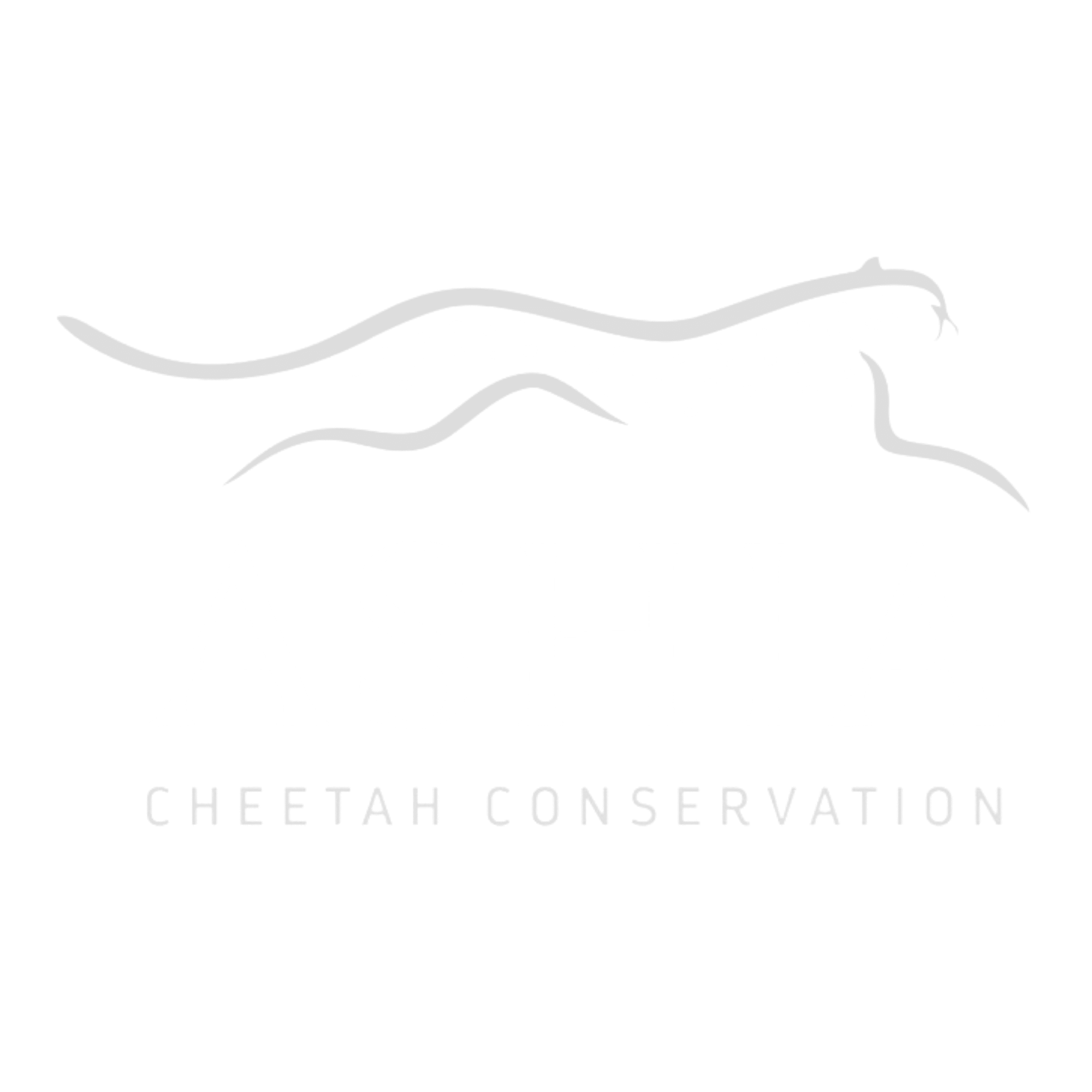Ashia logo