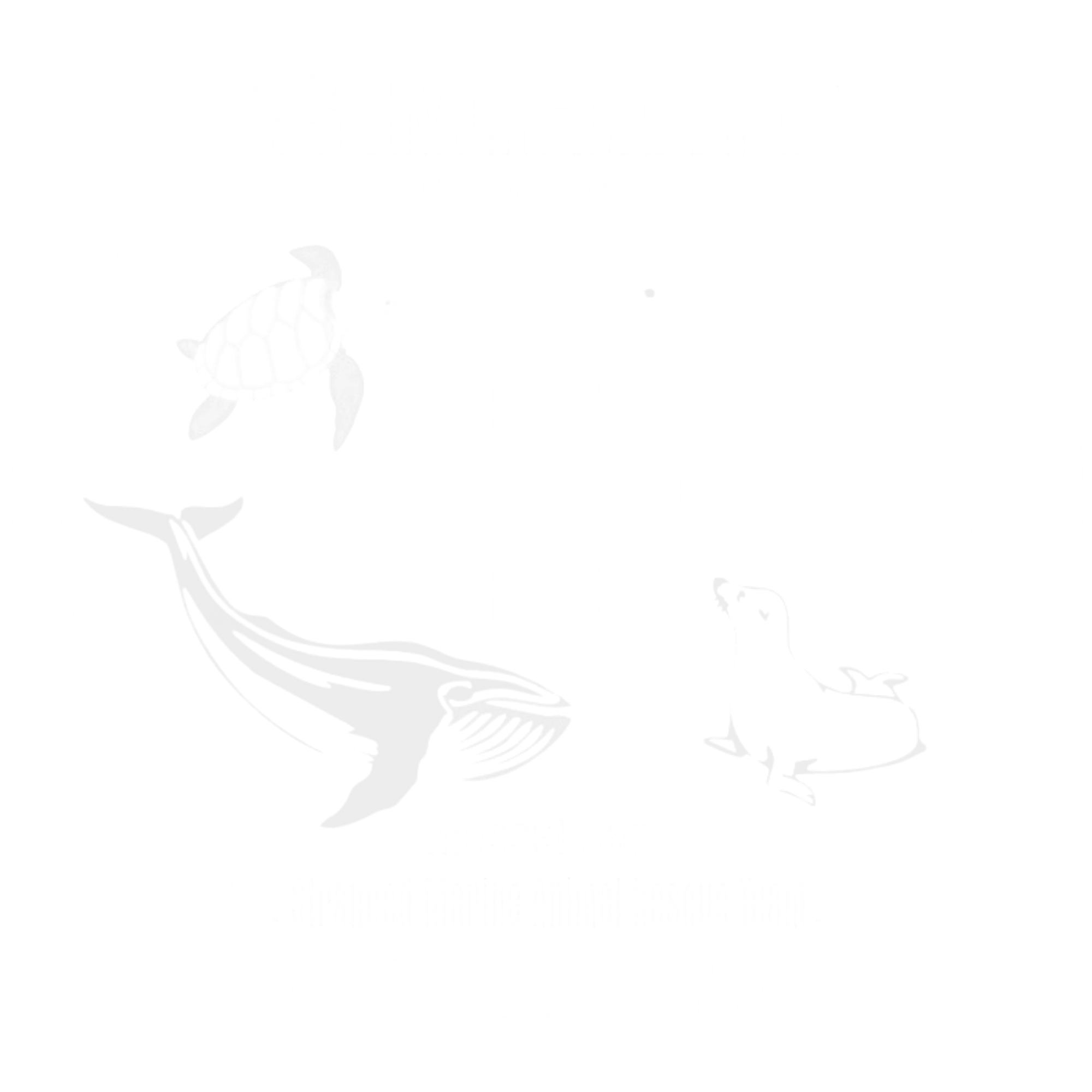 SMART logo