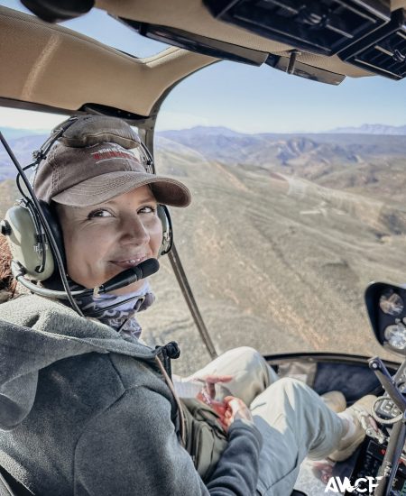 2025 vet projects-28