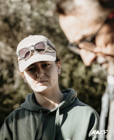 2025 vet projects-44