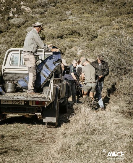 2025 vet projects-59