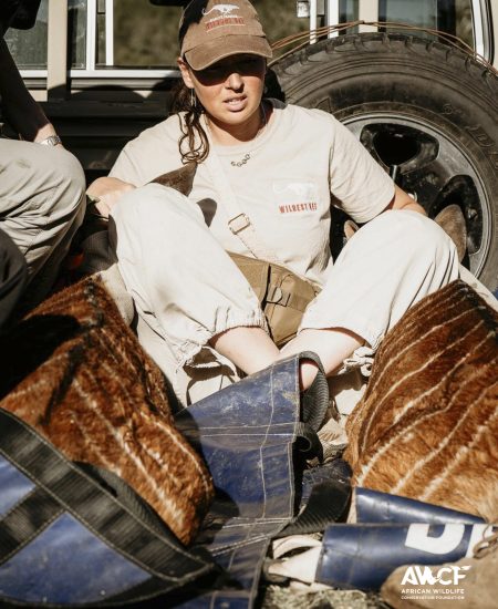 2025 vet projects-60