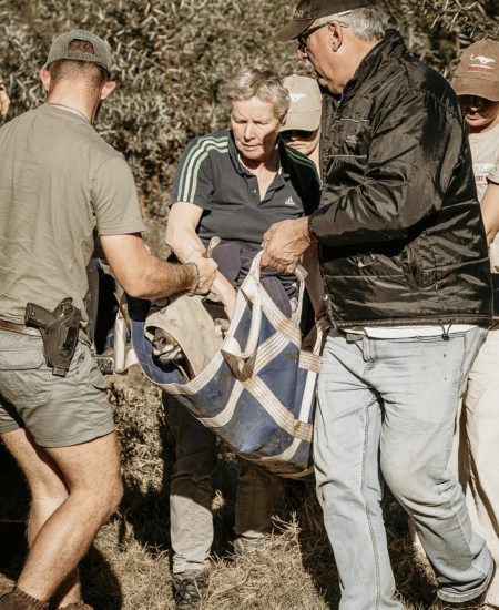 2025 vet projects-71