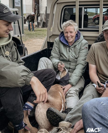 2025 vet projects-80