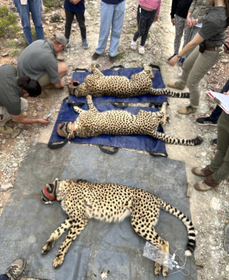 Screenshot 2025-12-07 at 08.26.38