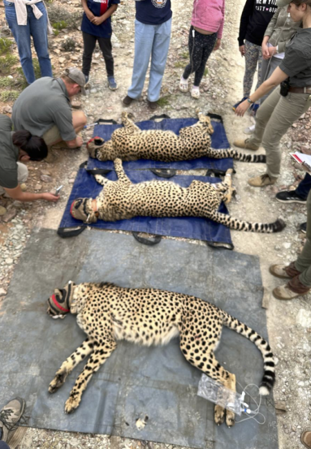 Screenshot 2025-12-07 at 08.26.38