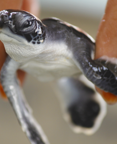 Screenshot 2025-12-07 at 08.26.56