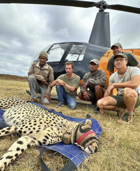 wildest vet conservation