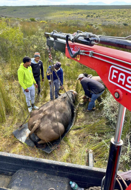 Screenshot 2025-12-07 at 08.30.32